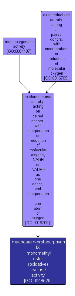 GO:0048529 - magnesium-protoporphyrin IX monomethyl ester (oxidative) cyclase activity (interactive image map)