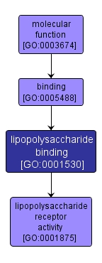 GO:0001530 - lipopolysaccharide binding (interactive image map)