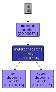 GO:0016530 - metallochaperone activity (interactive image map)