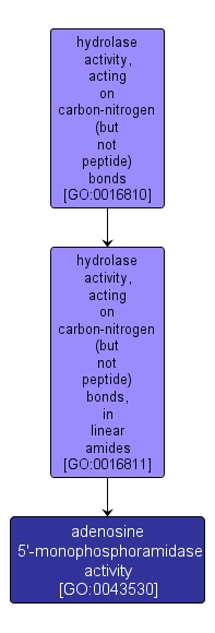 GO:0043530 - adenosine 5'-monophosphoramidase activity (interactive image map)