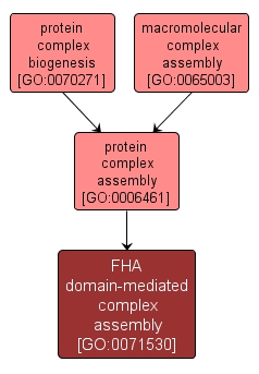 GO:0071530 - FHA domain-mediated complex assembly (interactive image map)