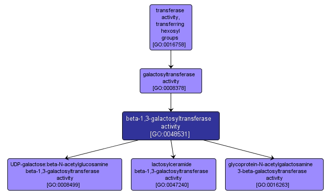 GO:0048531 - beta-1,3-galactosyltransferase activity (interactive image map)