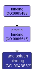 GO:0043532 - angiostatin binding (interactive image map)