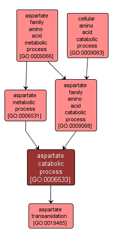 GO:0006533 - aspartate catabolic process (interactive image map)