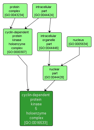 GO:0016533 - cyclin-dependent protein kinase 5 holoenzyme complex (interactive image map)