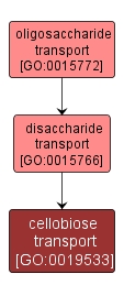 GO:0019533 - cellobiose transport (interactive image map)