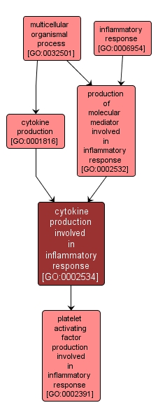 GO:0002534 - cytokine production involved in inflammatory response (interactive image map)
