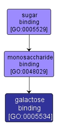 GO:0005534 - galactose binding (interactive image map)