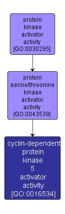 GO:0016534 - cyclin-dependent protein kinase 5 activator activity (interactive image map)