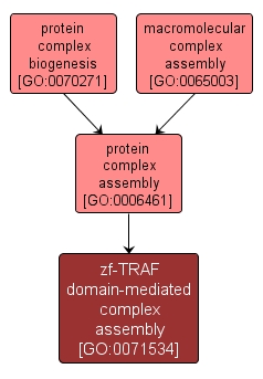 GO:0071534 - zf-TRAF domain-mediated complex assembly (interactive image map)