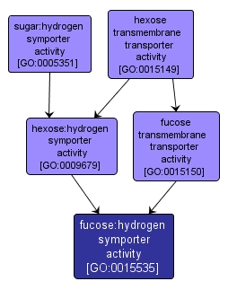 GO:0015535 - fucose:hydrogen symporter activity (interactive image map)