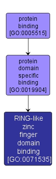 GO:0071535 - RING-like zinc finger domain binding (interactive image map)