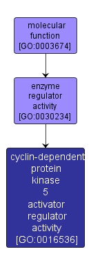 GO:0016536 - cyclin-dependent protein kinase 5 activator regulator activity (interactive image map)