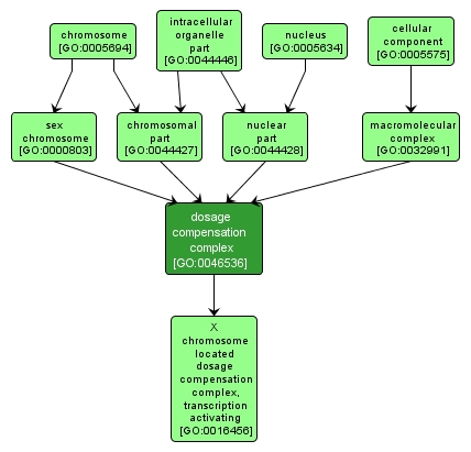 GO:0046536 - dosage compensation complex (interactive image map)