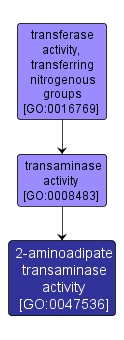 GO:0047536 - 2-aminoadipate transaminase activity (interactive image map)