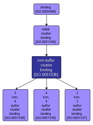 GO:0051536 - iron-sulfur cluster binding (interactive image map)