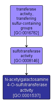 GO:0001537 - N-acetylgalactosamine 4-O-sulfotransferase activity (interactive image map)
