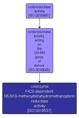 GO:0018537 - coenzyme F420-dependent N5,N10-methenyltetrahydromethanopterin reductase activity (interactive image map)
