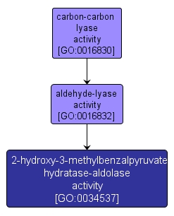 GO:0034537 - 2-hydroxy-3-methylbenzalpyruvate hydratase-aldolase activity (interactive image map)