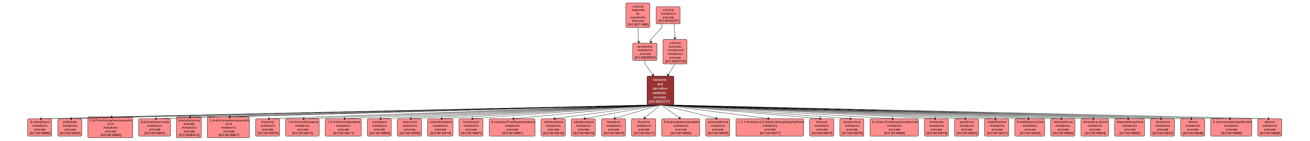 GO:0042537 - benzene and derivative metabolic process (interactive image map)