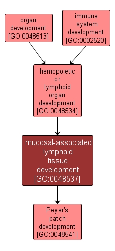 GO:0048537 - mucosal-associated lymphoid tissue development (interactive image map)