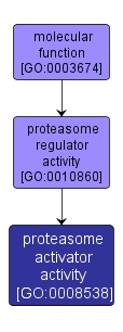 GO:0008538 - proteasome activator activity (interactive image map)