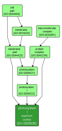 GO:0009538 - photosystem I reaction center (interactive image map)