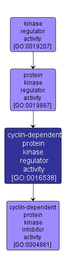GO:0016538 - cyclin-dependent protein kinase regulator activity (interactive image map)