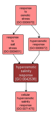 GO:0042538 - hyperosmotic salinity response (interactive image map)