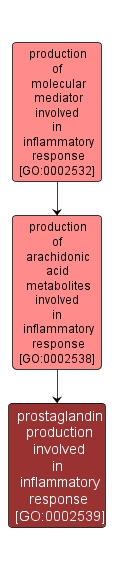 GO:0002539 - prostaglandin production involved in inflammatory response (interactive image map)