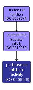 GO:0008539 - proteasome inhibitor activity (interactive image map)