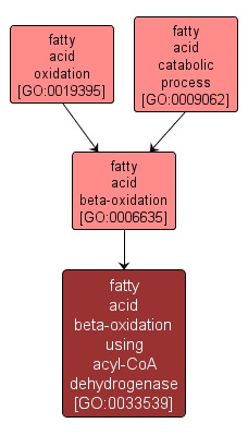 GO:0033539 - fatty acid beta-oxidation using acyl-CoA dehydrogenase (interactive image map)
