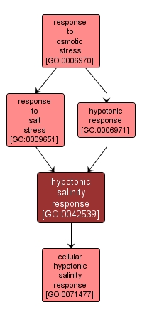 GO:0042539 - hypotonic salinity response (interactive image map)