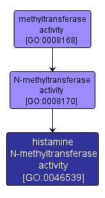 GO:0046539 - histamine N-methyltransferase activity (interactive image map)