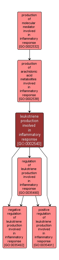 GO:0002540 - leukotriene production involved in inflammatory response (interactive image map)