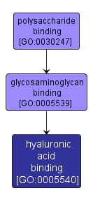 GO:0005540 - hyaluronic acid binding (interactive image map)