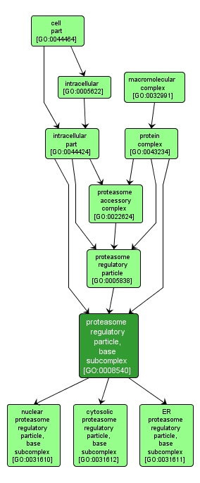 GO:0008540 - proteasome regulatory particle, base subcomplex (interactive image map)