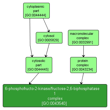 GO:0043540 - 6-phosphofructo-2-kinase/fructose-2,6-biphosphatase 1 complex (interactive image map)
