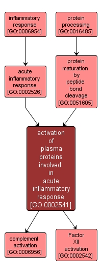 GO:0002541 - activation of plasma proteins involved in acute inflammatory response (interactive image map)