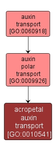 GO:0010541 - acropetal auxin transport (interactive image map)