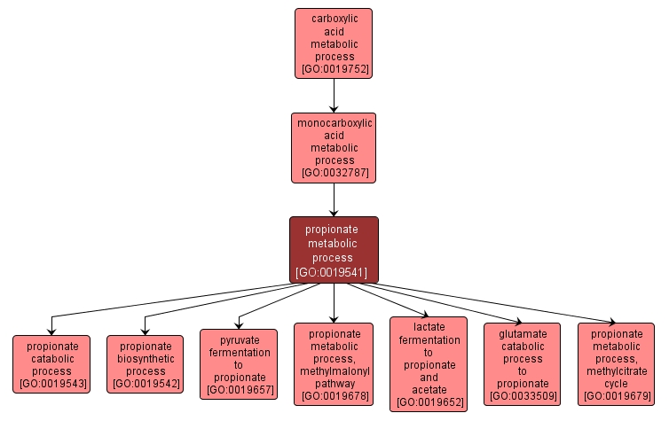 GO:0019541 - propionate metabolic process (interactive image map)