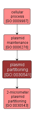 GO:0030541 - plasmid partitioning (interactive image map)