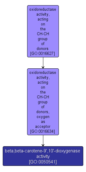 GO:0050541 - beta,beta-carotene-9',10'-dioxygenase activity (interactive image map)