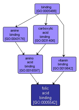 GO:0005542 - folic acid binding (interactive image map)