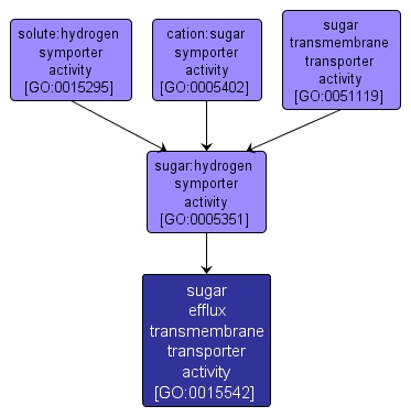 GO:0015542 - sugar efflux transmembrane transporter activity (interactive image map)