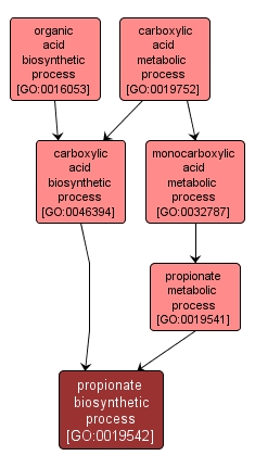 GO:0019542 - propionate biosynthetic process (interactive image map)