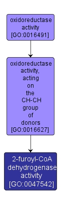 GO:0047542 - 2-furoyl-CoA dehydrogenase activity (interactive image map)