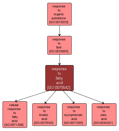 GO:0070542 - response to fatty acid (interactive image map)