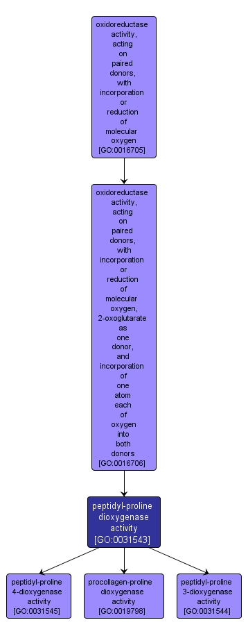 GO:0031543 - peptidyl-proline dioxygenase activity (interactive image map)