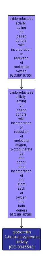 GO:0045543 - gibberellin 2-beta-dioxygenase activity (interactive image map)